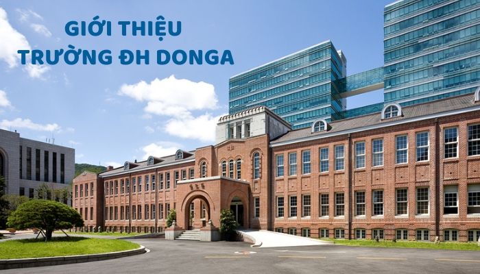 Giới thiệu trường Đại học DongA – Hàn Quốc