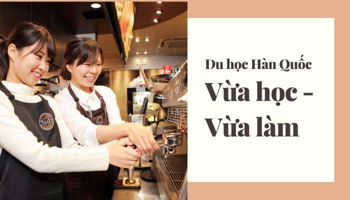 Kinh nghiệm đi du học Hàn Quốc vừa học vừa làm: điều kiện, chi phí, chọn ngành…