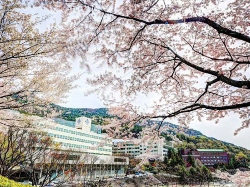 Du lịch Busan vào mùa xuân