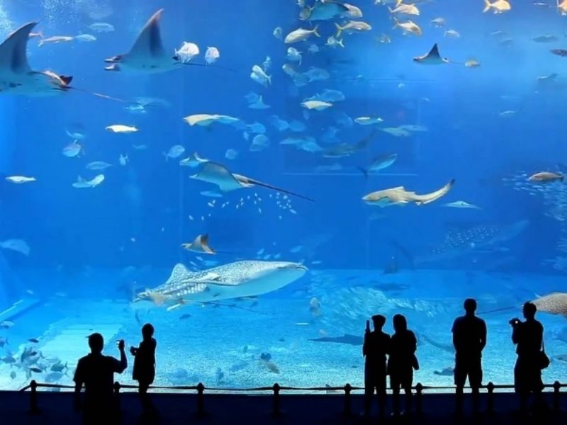 Busan Aquarium