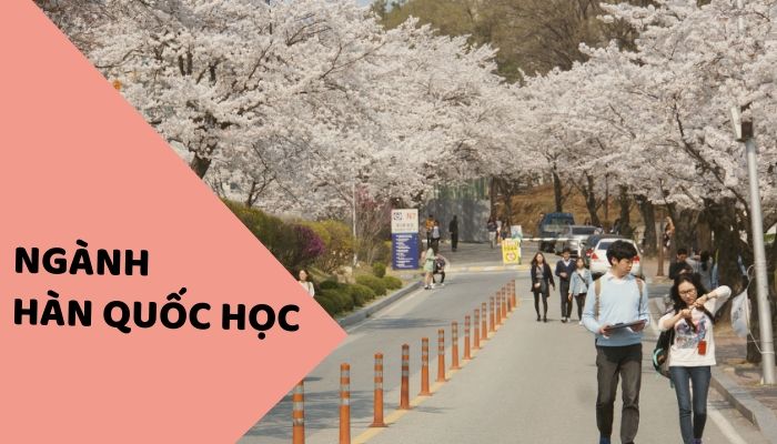 Top 5 trường đào tạo ngành Hàn Quốc học tốt nhất tại Hàn Quốc