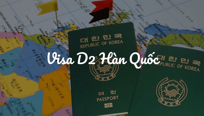 8 loại visa D2 Hàn Quốc phổ biến và kinh nghiệm xin visa