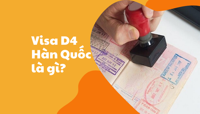 Visa D4-1 Hàn Quốc là gì? Thời hạn và cách chuyển đổi sang D2