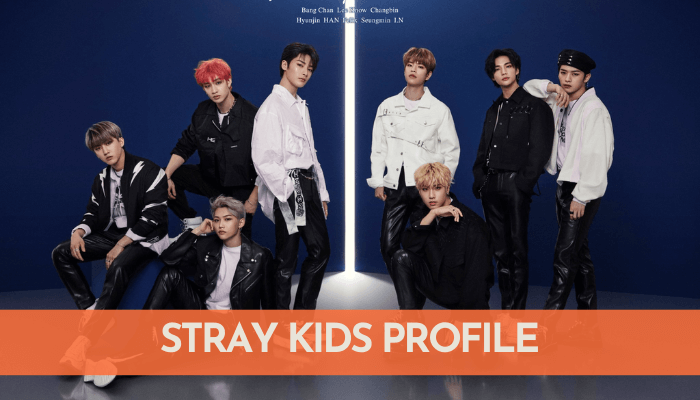 Tìm hiểu từ A-Z về Stray Kids profile – Lý lịch thành viên nhóm Stray Kids