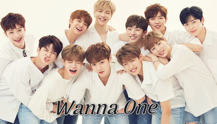 Wanna One – Giới thiệu thông tin tiểu sử 11 thành viên