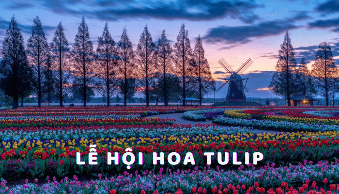 Top 6 lễ hội hoa Tulip nổi tiếng nhất tại Hàn Quốc