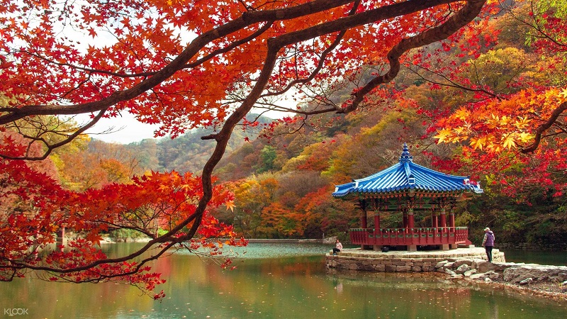Du lịch mùa lá đỏ Hàn Quốc, mùa lá đỏ, du lịch Hàn Quốc, mùa lá đỏ Hàn Quốc, Xứ sở kim chi, kinh nghiệm du lịch Hàn Quốc, Du Lịch Xanh