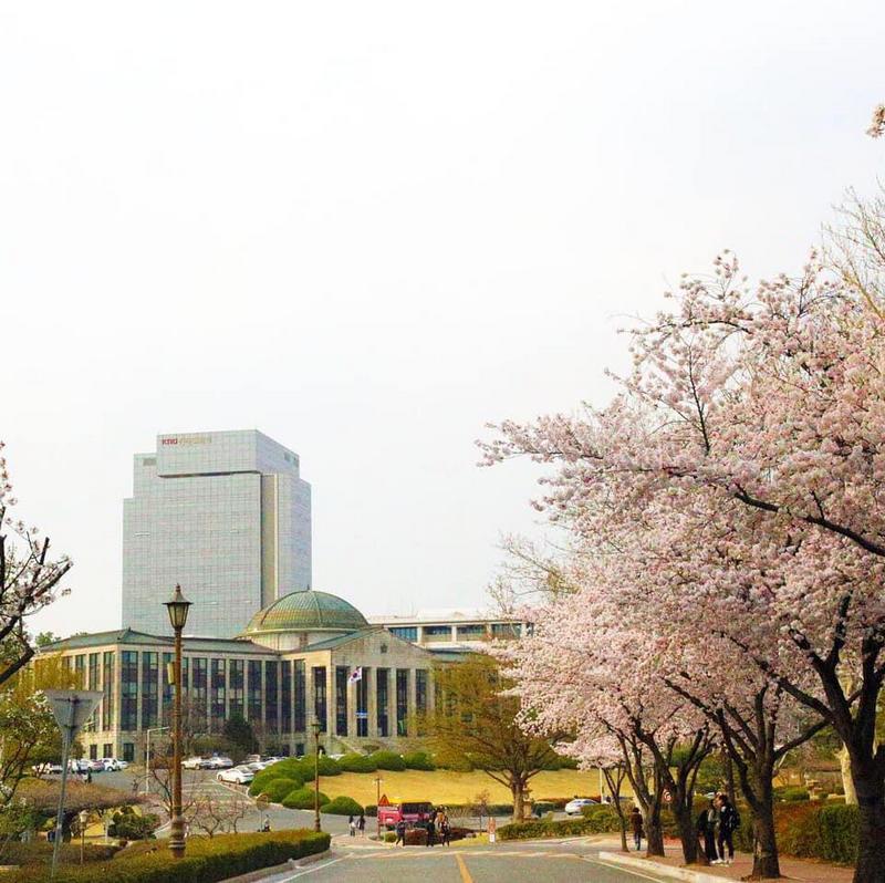 đại học quốc gia kyungpook