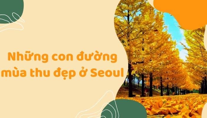 Những con đường mùa thu đẹp quanh Seoul thu hút mọi ánh nhìn