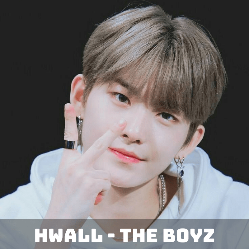 hwall-the-boyz-member