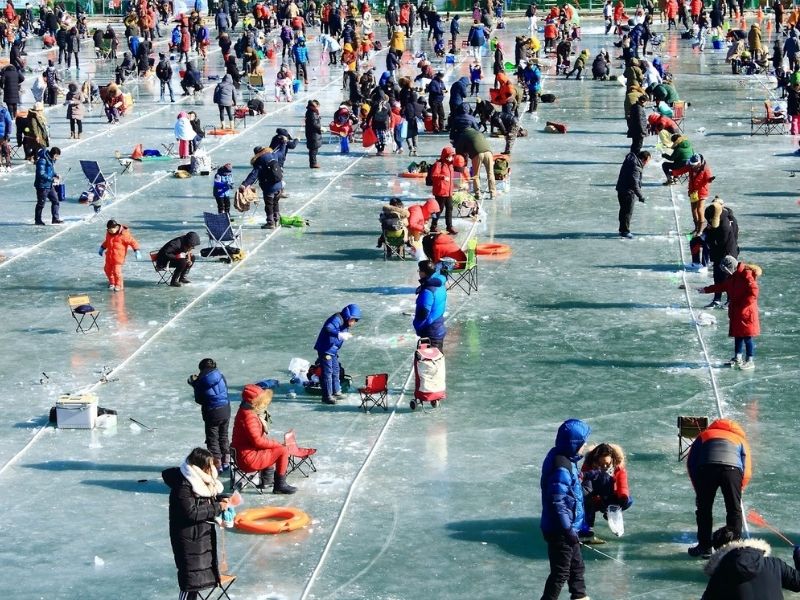 Du Lịch Hàn Quốc Vào Mùa Đông Lễ hội câu cá trên băng Hwacheon