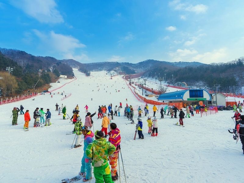 Khu trượt tuyết Yanji Pine