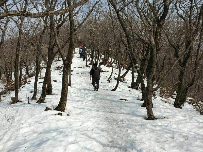 Núi Seonjaryeong