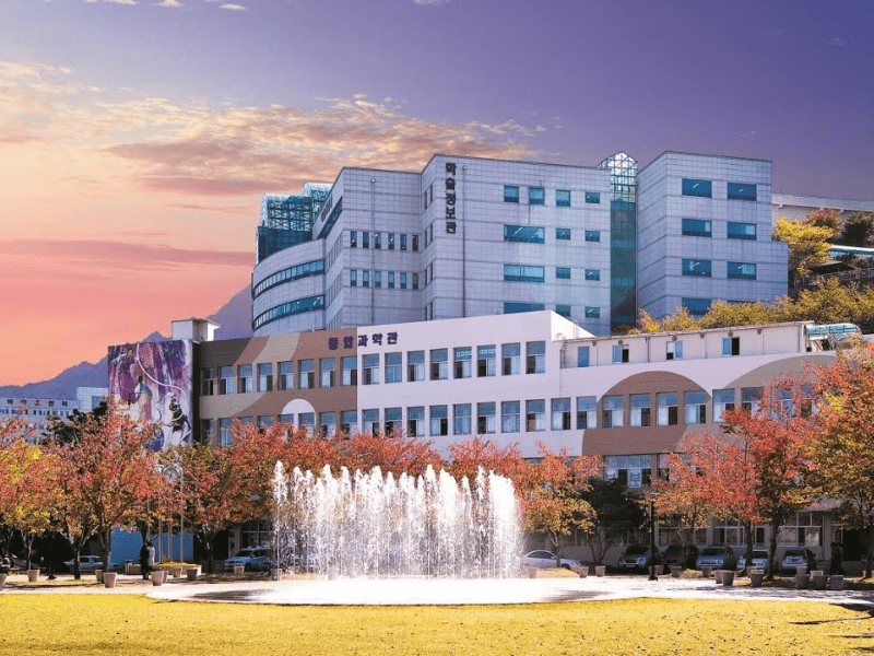 trường đại học daegu haany