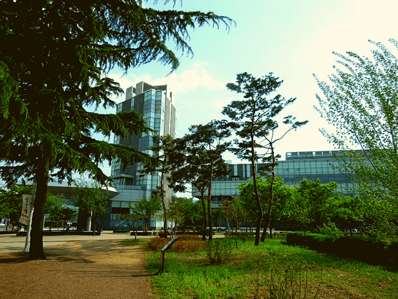 trường đại học yeungnam han quoc