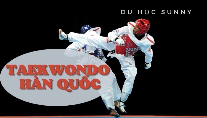 Taekwondo Hàn Quốc và những bộ phim Taekwondo hay nhất