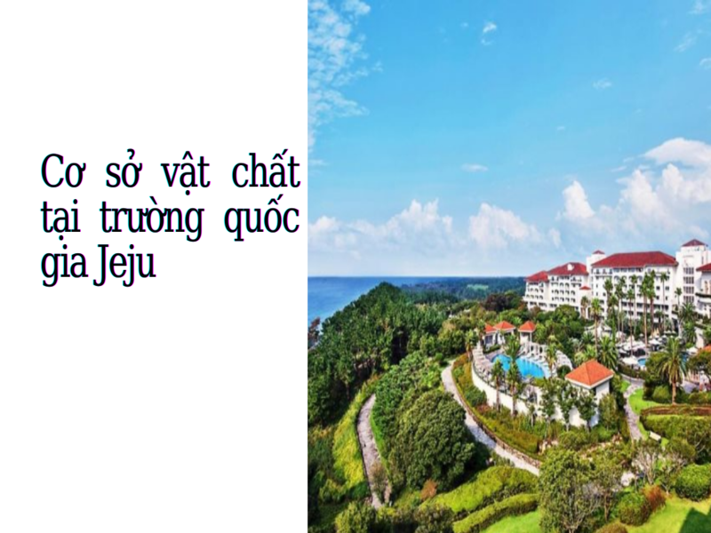 co-so-vat-chat-truong-jeju