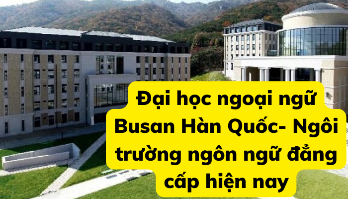 Đại học ngoại ngữ Busan Hàn Quốc- Ngôi trường ngôn ngữ đẳng cấp hiện nay
