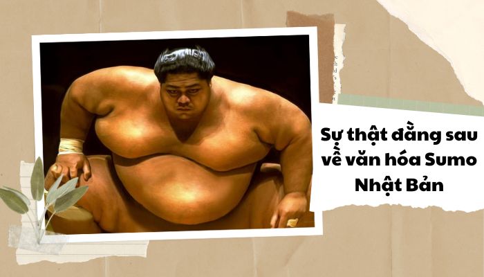 Sự thật đằng sau về văn hóa sumo Nhật Bản