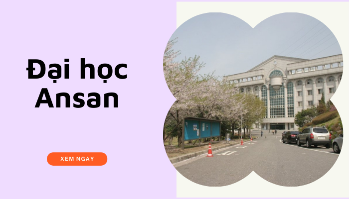 Đại học Ansan – Lựa chọn hàng đầu của nhiều du học sinh Việt