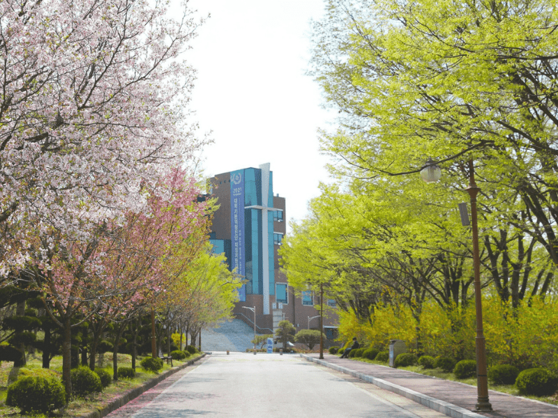 Các trường đại học không cần topik ở Hàn Quốc NamSeoul
