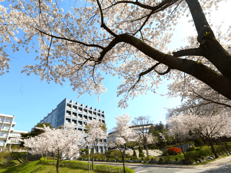 các trường đại học ở Gyeonggi
