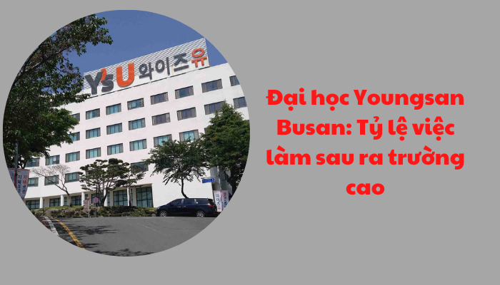 Đại học Youngsan: Trường thương mại quốc tế top đầu tại Hàn
