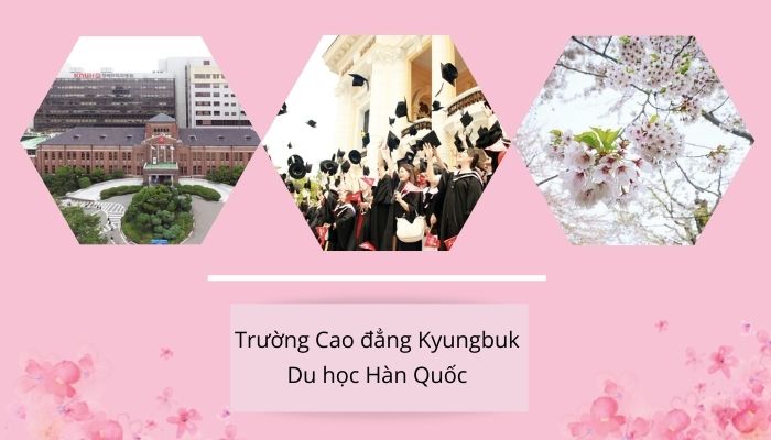 Trường Kyungbuk- Top 10 Trường Cao đẳng đào tạo nghề nổi tiếng tại Hàn Quốc