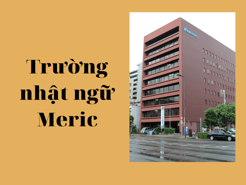 Trường nhật ngữ Meric