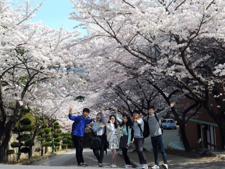 Đại học Quốc gia Pukyong Pukyong National University Trung Tâm du