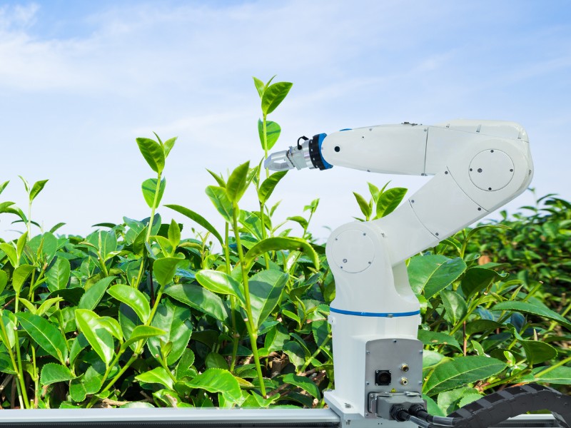 Ngành nông nghiệp sử dụng máy móc hiện đại