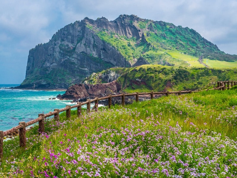 jeju island