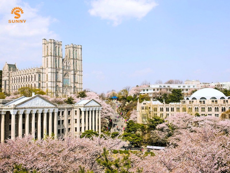 đại học kyung hee top 2 hàn quốc
