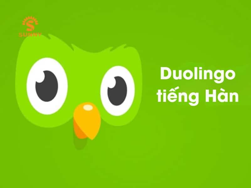 Đôi nét về Duolingo tiếng Hàn