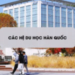 Các hệ du học Hàn Quốc