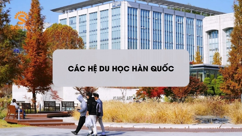 Các hệ du học Hàn Quốc