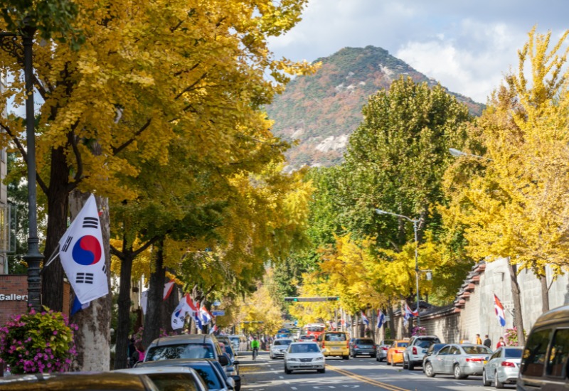 Dịch vụ làm Visa Hàn Quốc trọn gói là gì