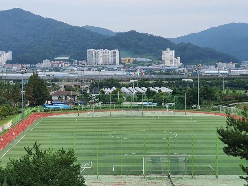 Chương trình đào tạo Đại học